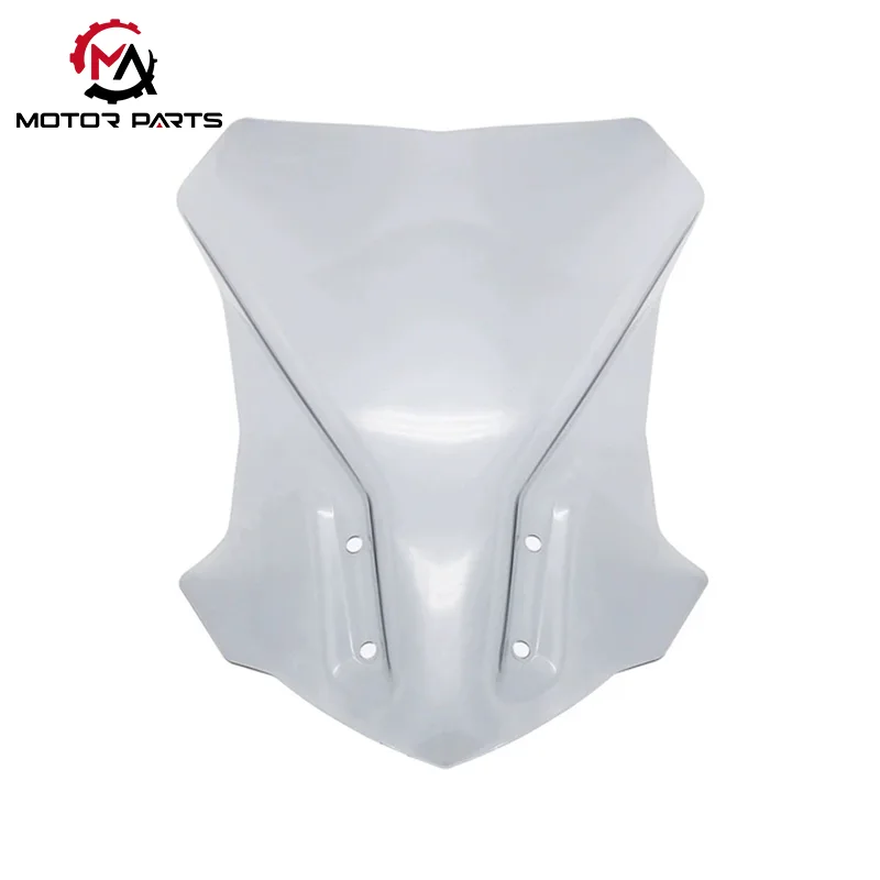 BMW G310GS 17-22 Motorsiklo Windshield