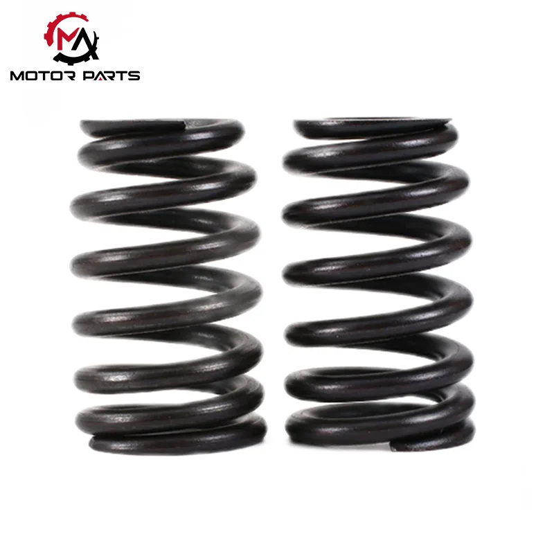 Motorsiklo Valve Spring